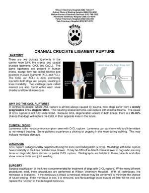 CRANIAL CRUCIATE LIGAMENT RUPTURE ANATOMY There Are Two Cruciate Ligaments in the Canine Knee Joint: the Cranial and Caudal Cruciate Ligaments (Crcl and Cacl)