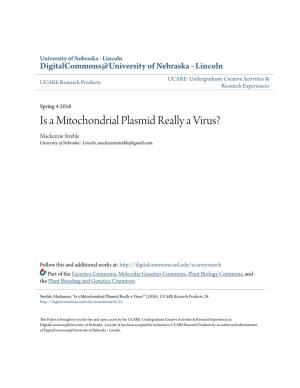 Is a Mitochondrial Plasmid Really a Virus? Mackenzie Strehle University of Nebraska - Lincoln, Mackenziestrehle@Gmail.Com