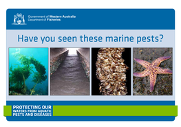 Marine Pest Identification Guide