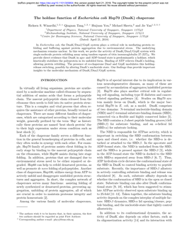 The Holdase Function of Escherichia Coli Hsp70 (Dnak) Chaperone