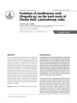 Predation of Corallivorous Snail (Drupella Sp.) on the Hard Corals of Chetlat Atoll, Lakshadweep, India