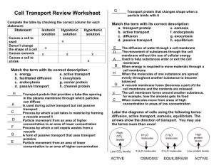Cell Transport Review Worksheet Particle Binds with It