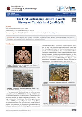 The First Gastronomy Culture in World History on Turkish Land Çatalhöyük