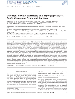 Leftright Dewlap Asymmetry and Phylogeography of Anolis Lineatus on Aruba and Curaao