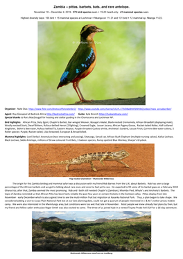 Zambia – Pittas, Barbets, Bats, and Rare Antelope