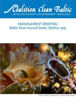Baltic Blue Mussel Beds, Mytilus Spp