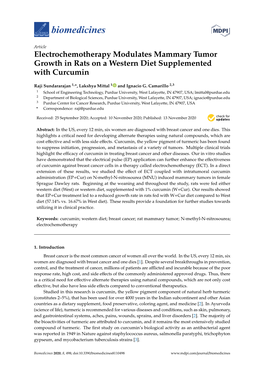 Electrochemotherapy Modulates Mammary Tumor Growth in Rats on a Western Diet Supplemented with Curcumin