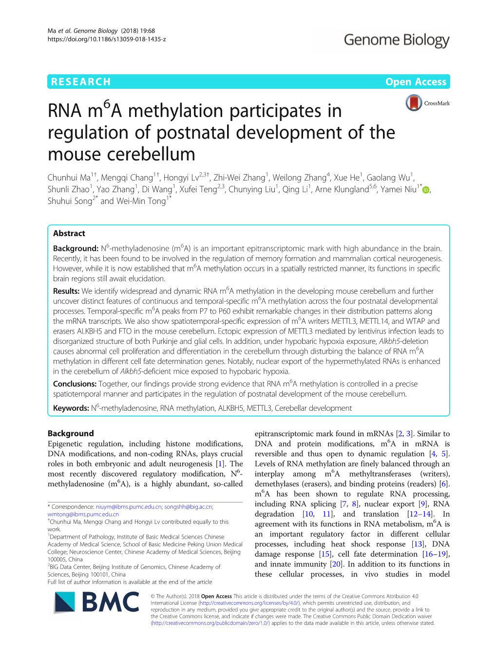 RNA M6a Methylation Participates in Regulation of Postnatal Development