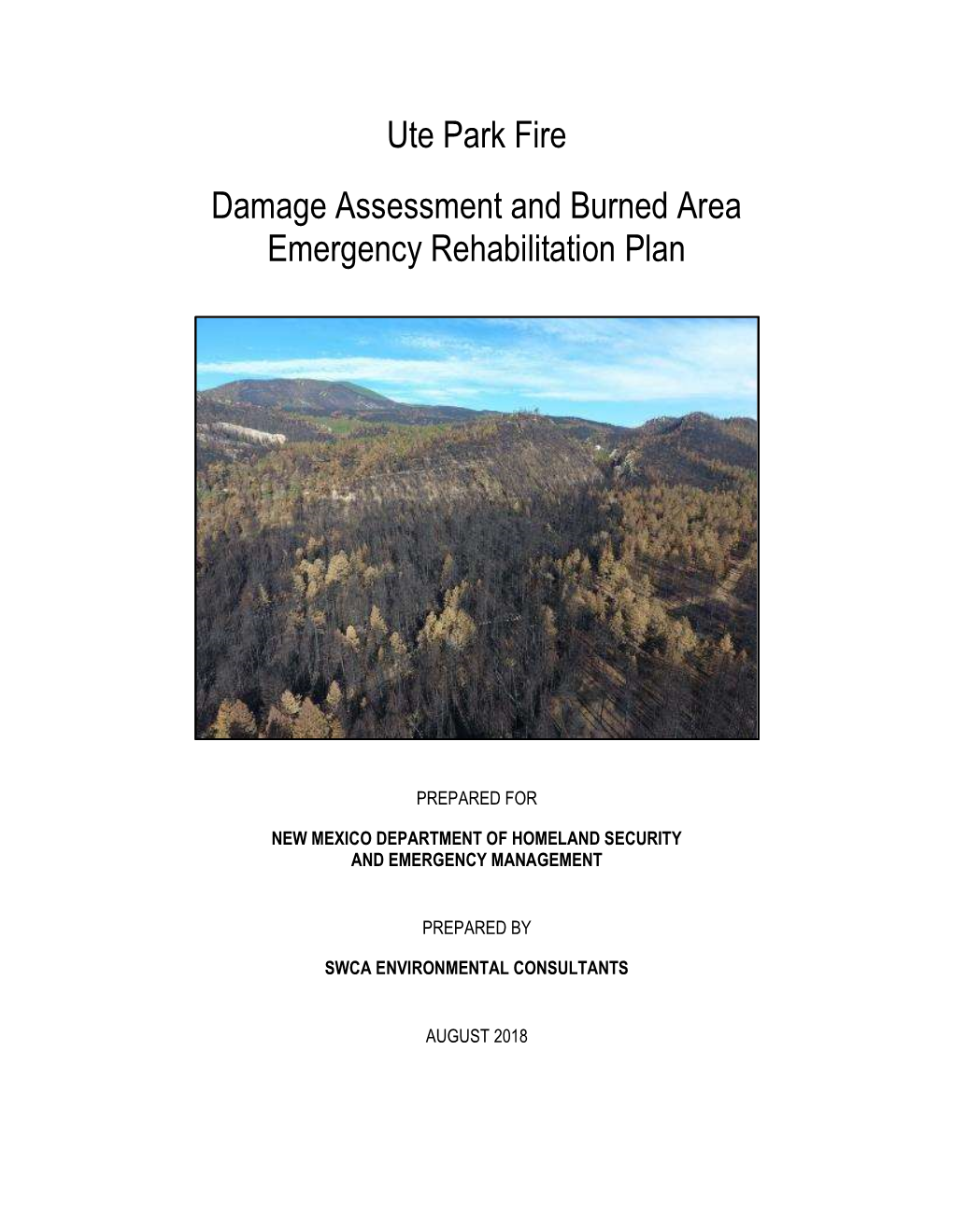 Ute Park Fire Damage Assessment and Burned Area Emergency Rehabilitation Plan
