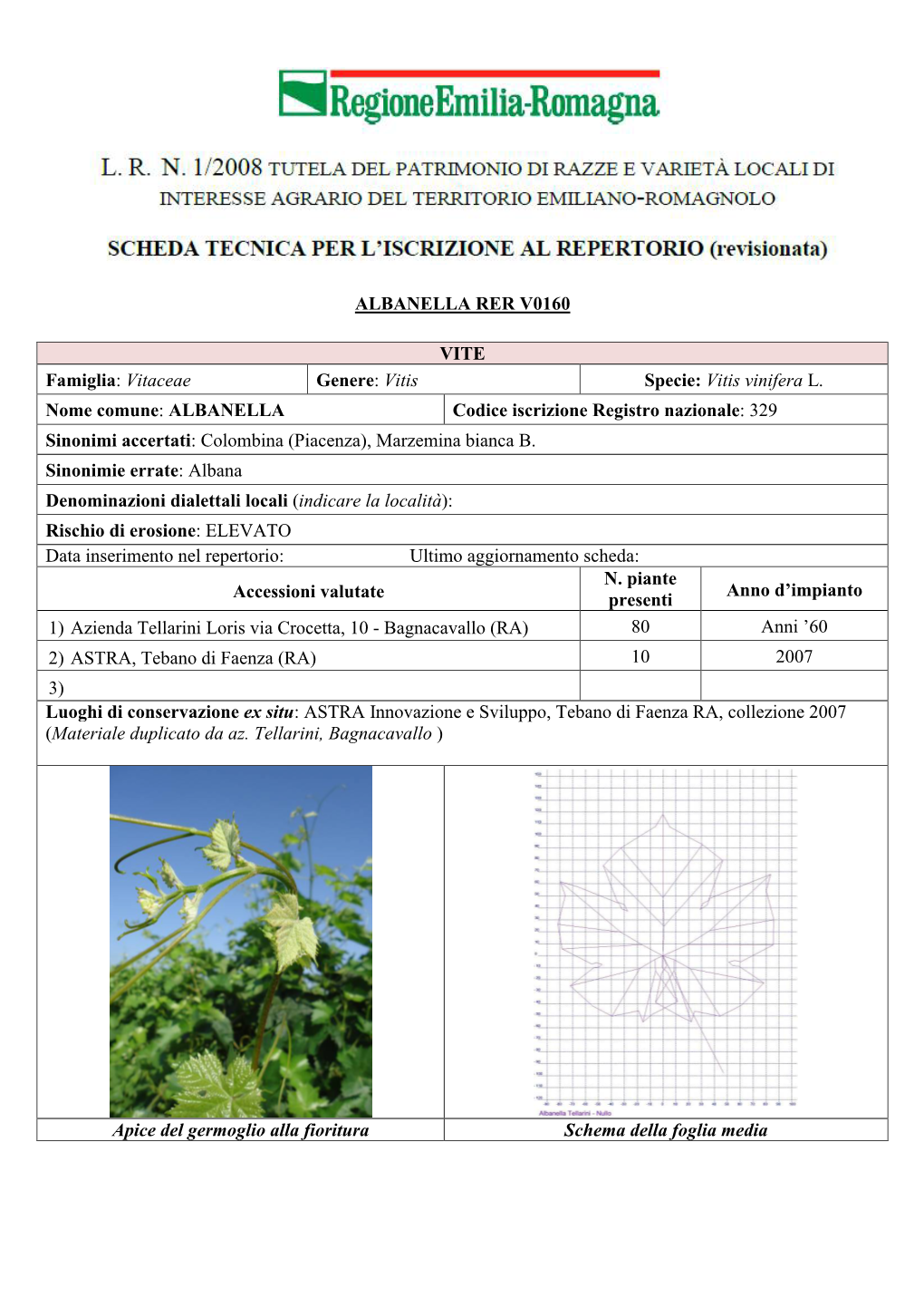 ALBANELLA RER V0160 VITE Famiglia