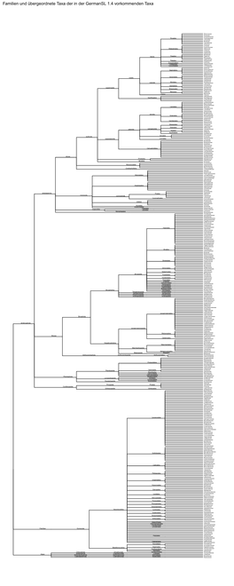 R Graphics Output