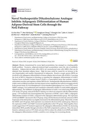 Novel Neohesperidin Dihydrochalcone Analogue Inhibits Adipogenic Differentiation of Human Adipose-Derived Stem Cells Through the Nrf2 Pathway