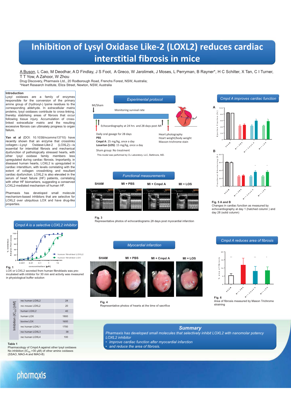 Inhibition of Lysyl Oxidase Like-2 (LOXL2) Reduces Cardiac Interstitial Fibrosis in Mice