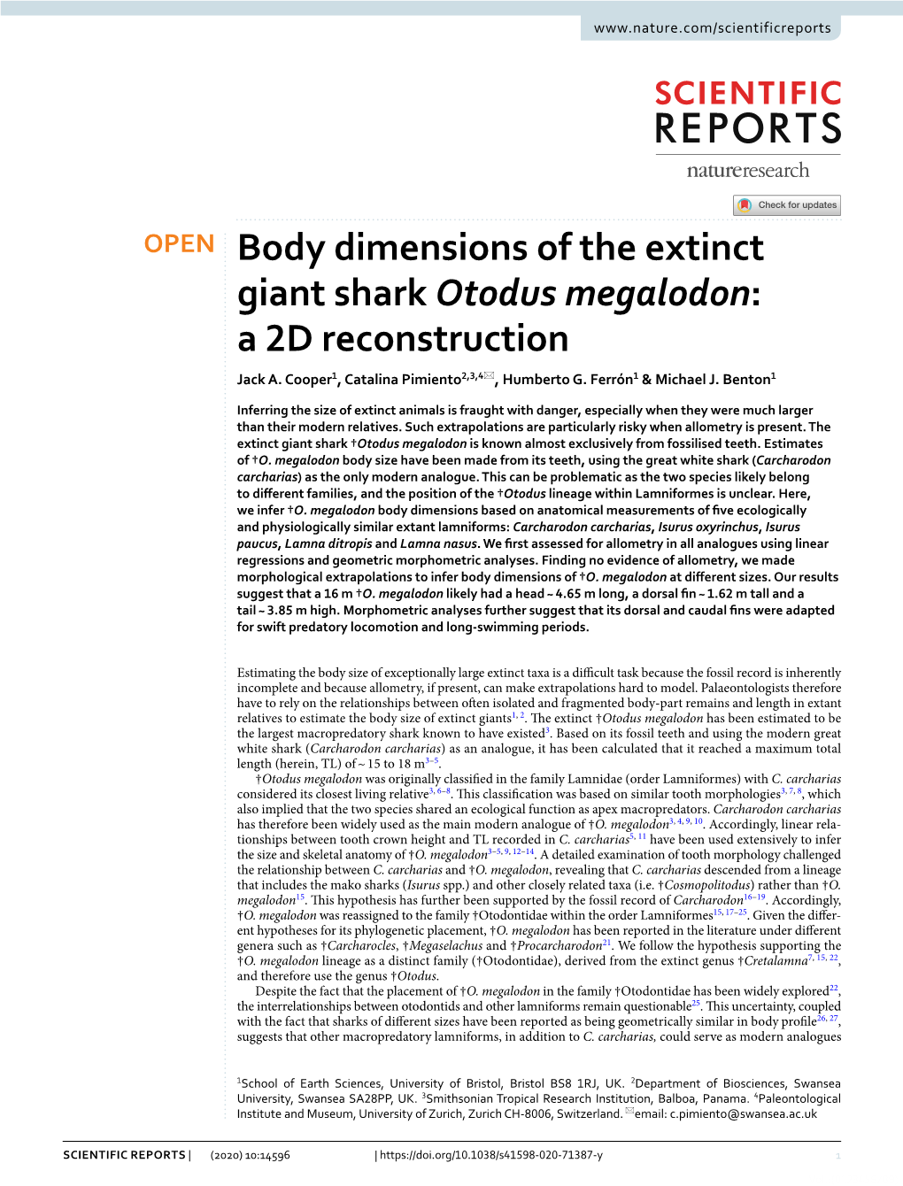 Body Dimensions Of The Extinct Giant Shark Otodus Megalodon: A 2D ...