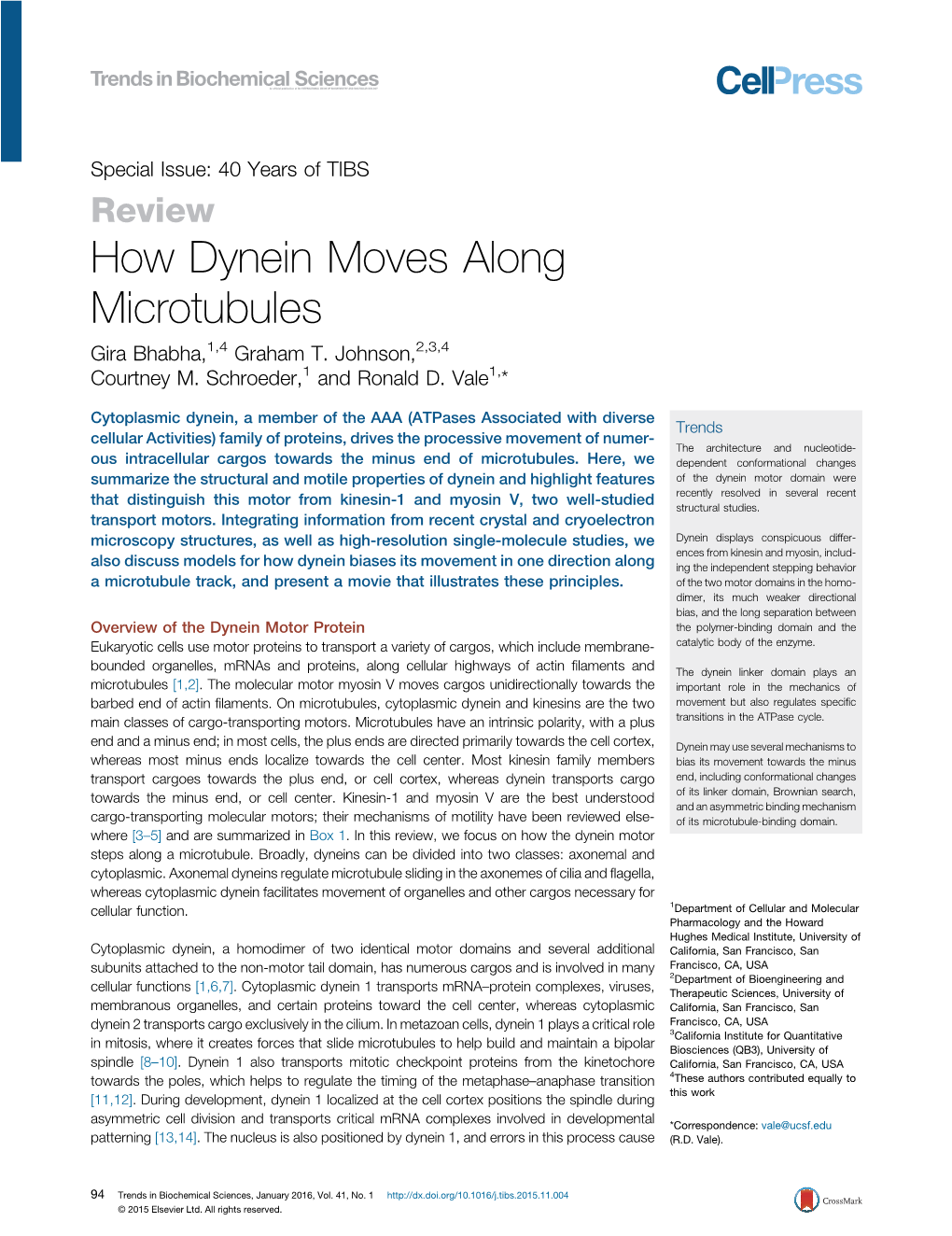 How Dynein Moves Along Microtubules