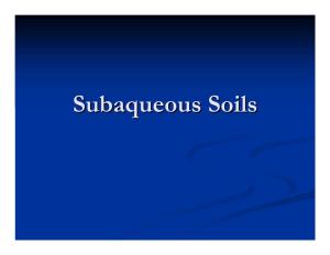 Subaqueous Soilssoils Georgegeorge P.P