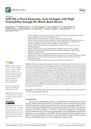 SZR-104, a Novel Kynurenic Acid Analogue with High Permeability Through the Blood–Brain Barrier