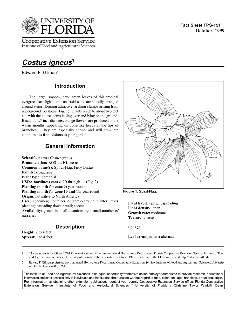 Costus Igneus1