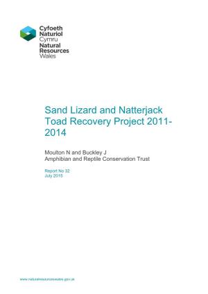 Sand Lizard and Natterjack Toad Recovery Project 2011- 2014
