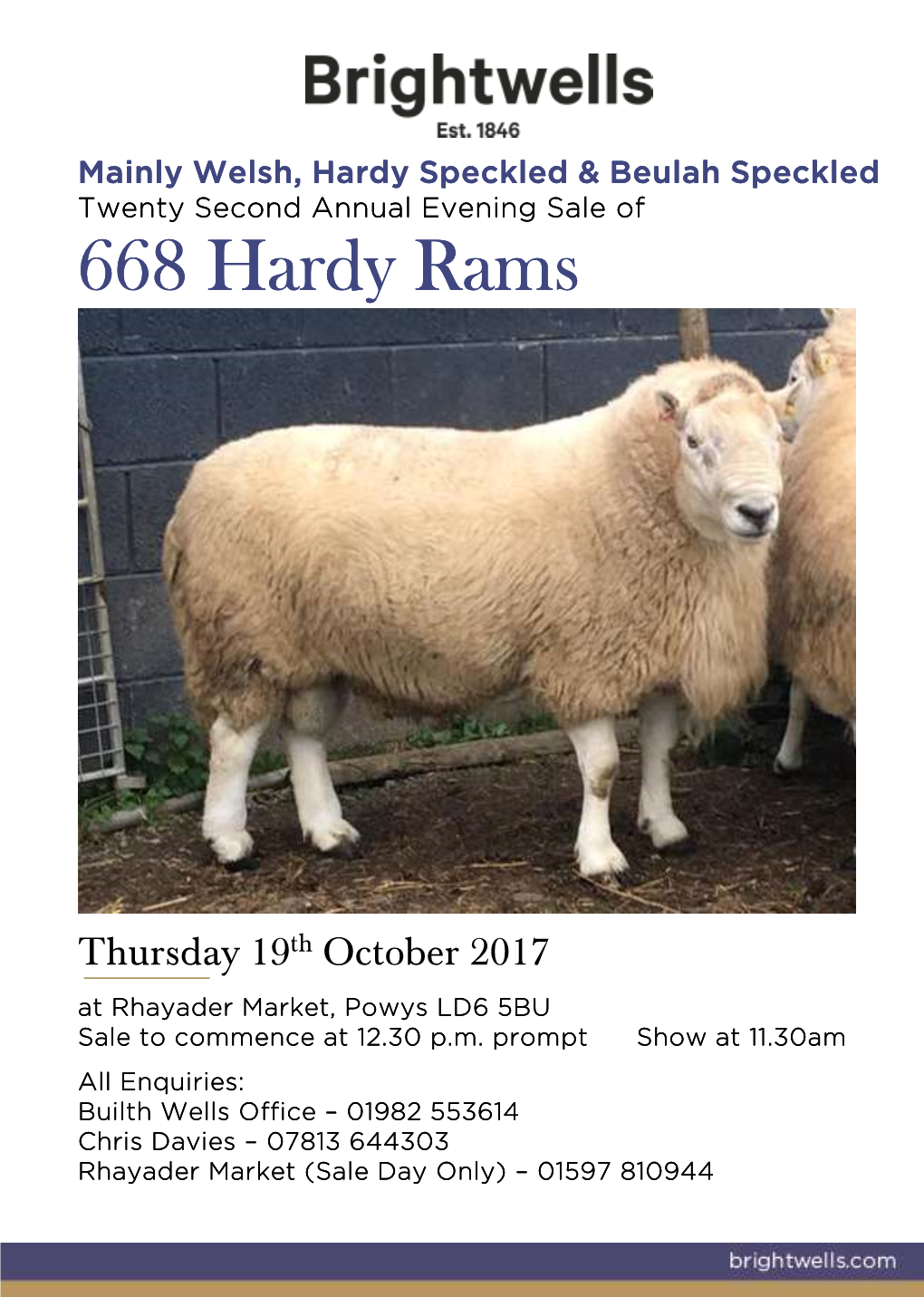 668 Hardy Rams Hardy Rams