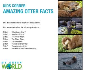 Amazing Otter Facts