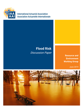 Flood Risk Discussion Paper Resource and Environment Working Group