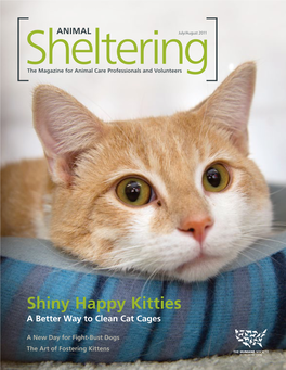 Shiny Happy Kitties a Better Way to Clean Cat Cages