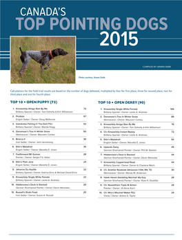 Top Pointing Dogs 2015