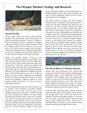 The Olympic Marmot: Ecology and Research