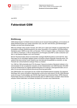 Faktenblatt GSM