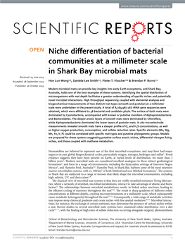 Niche Differentiation of Bacterial Communities at a Millimeter Scale In