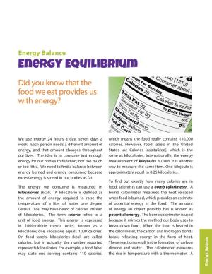 Energy Equilibrium Energy Balance Calorie Referstoa the Riseintemperature Withathermometer