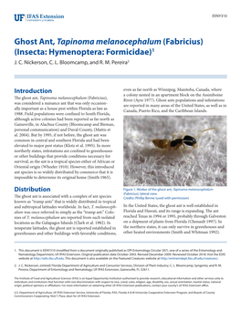 Ghost Ant, Tapinoma Melanocephalum (Fabricius) (Insecta: Hymenoptera: Formicidae)1 J