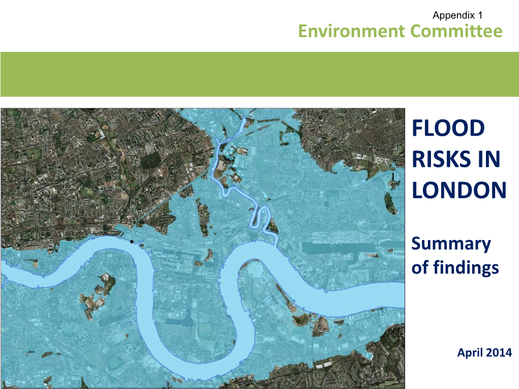 Flood Risks in London