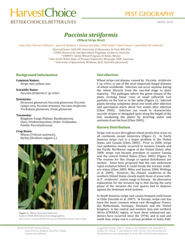 Puccinia Striiformis (Wheat Stripe Rust) Yuan Chai1, Darren J
