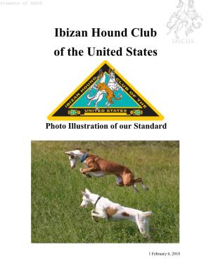 Ibizan Hound Club of the United States Photo Illustration of Our