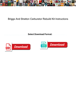 Briggs and Stratton Carburetor Rebuild Kit Instructions