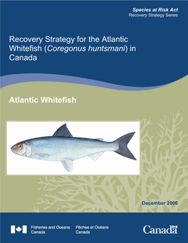 Recovery Strategy for the Atlantic Whitefish, Coregonus Huntsmani