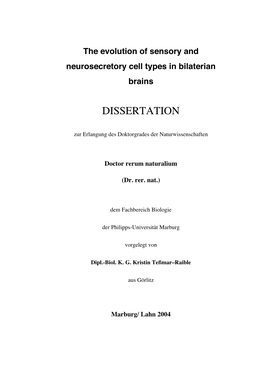 The Evolution of Sensory and Neurosecretory Cell Types in Bilaterian Brains