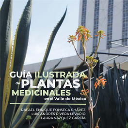 Guía Ilustrada De Plantas Medicinales En El Valle De México