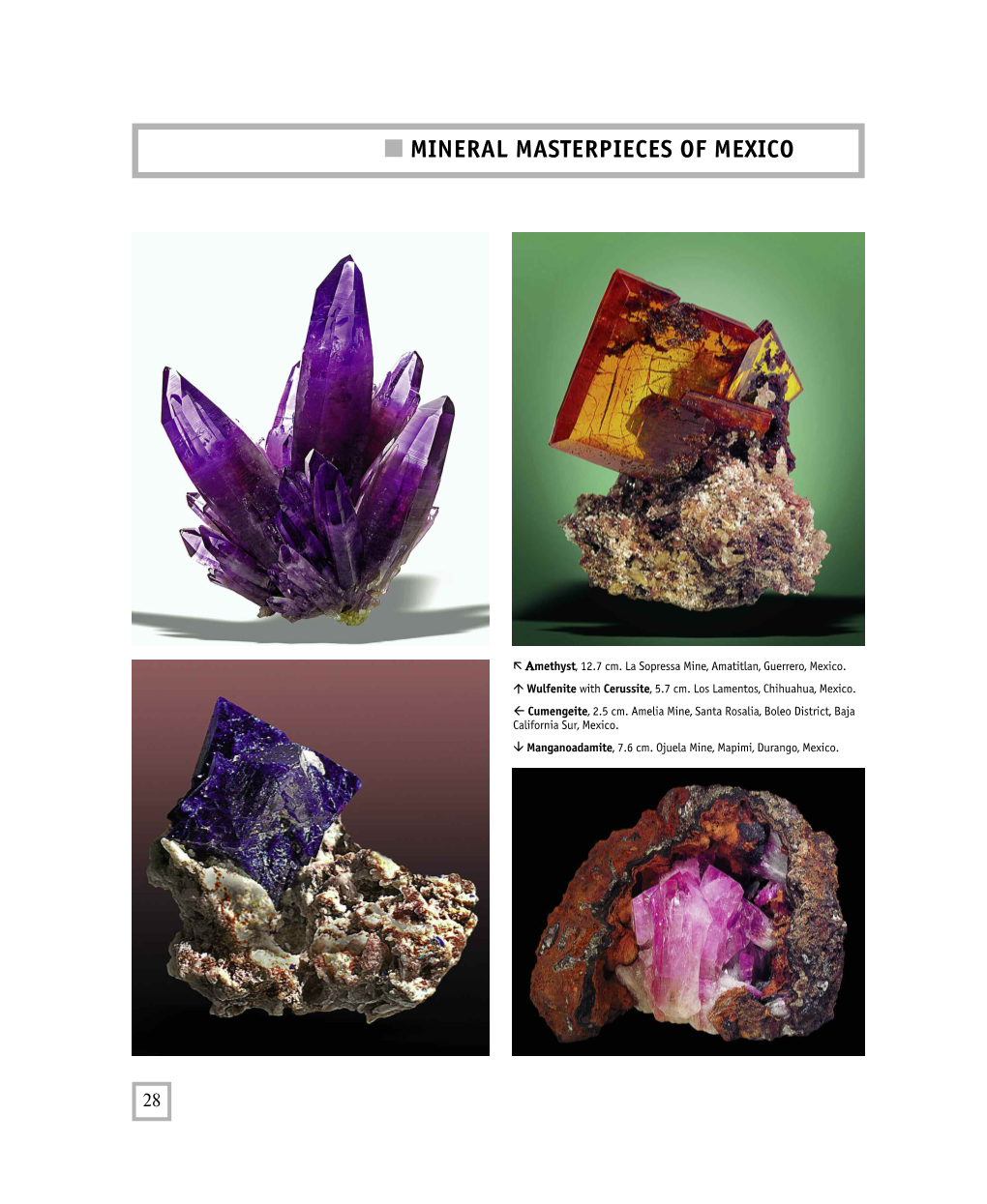 Mineral Masterpieces of Mexico