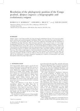 Resolution of the Phylogenetic Position of the Congo Peafowl, Afropavo Congensis: a Biogeographic and Evolutionary Enigma