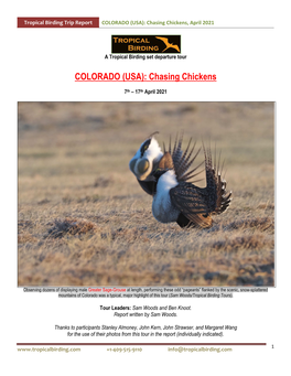 COLORADO (USA): Chasing Chickens, April 2021