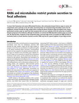 RAB6 and Microtubules Restrict Protein Secretion to Focal Adhesions