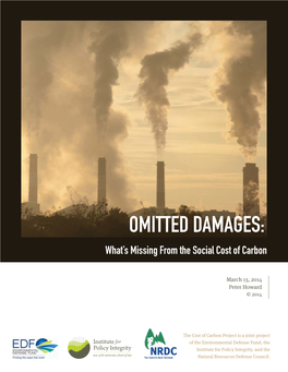 Omitted Damages: What's Missing from the Social Cost of Carbon