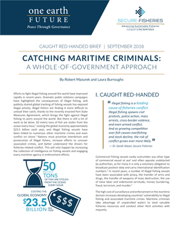 Catching Maritime Criminals: a Whole-Of-Government Approach