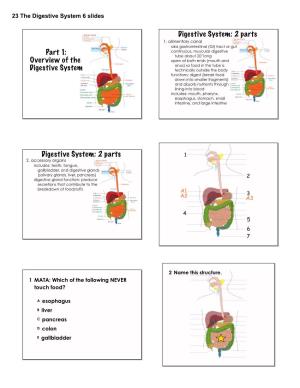 Part 1: Overview of the Digestive System Digestive System: 2 Parts