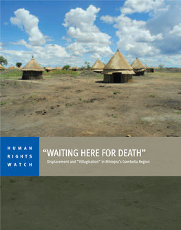 “WAITING HERE for DEATH” Displacement and “Villagization” in Ethiopia’S Gambella Region WATCH