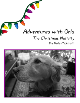 Adventures with Orla: the Christmas Nativity