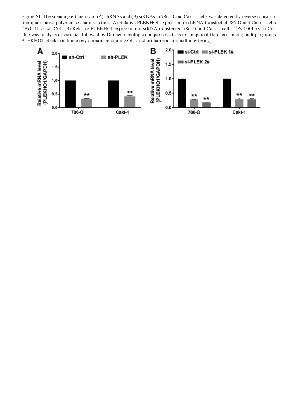 Sirnas in 786-O and Caki-1 Cells Was Detected by Reverse Transcrip- Tion-Quantitative Polymerase Chain Reaction